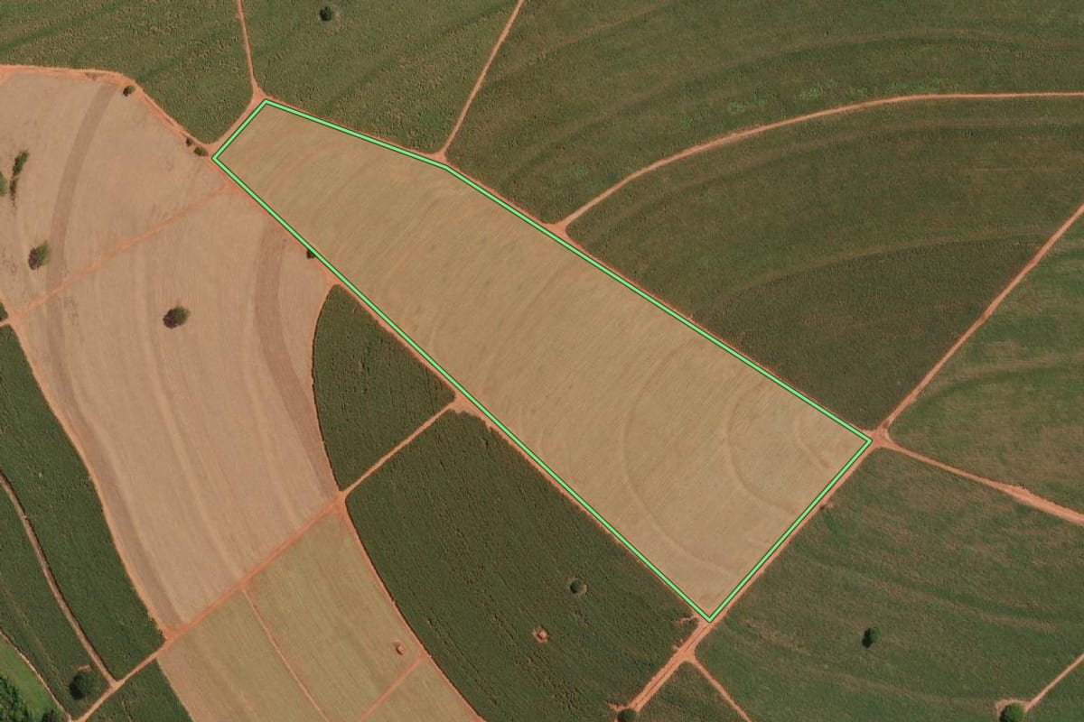 Imagem de satélite do imóvel rural em Novo Horizonte (SP), com o contorno declarado no CAR desenhado por cima.