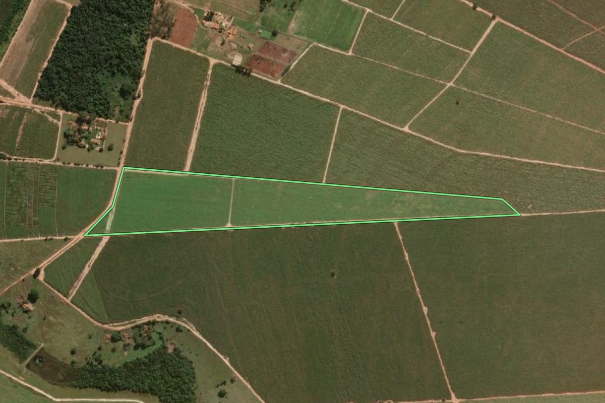 Imagem de satélite do imóvel rural em Novo Horizonte (SP), com o contorno declarado no CAR desenhado por cima.
