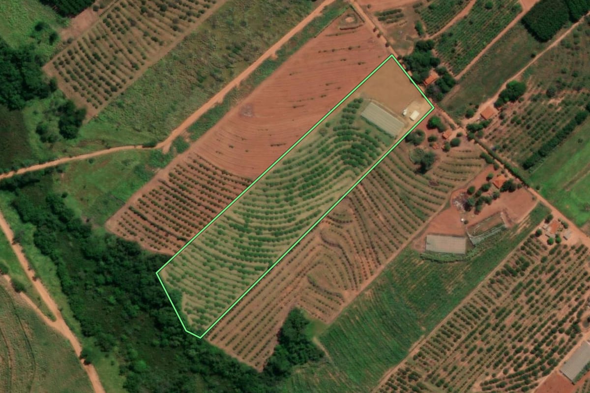 Imagem de satélite do imóvel rural em Novo Horizonte (SP), com o contorno declarado no CAR desenhado por cima.