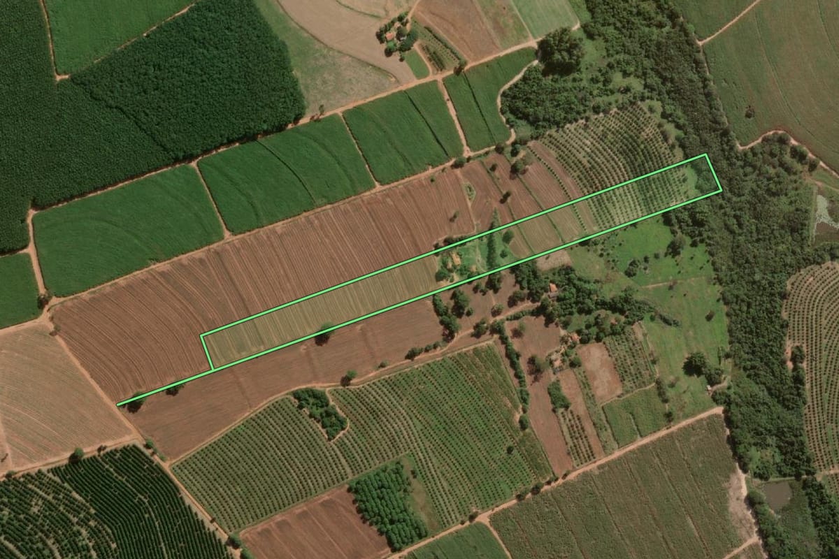 Imagem de satélite do imóvel rural em Novo Horizonte (SP), com o contorno declarado no CAR desenhado por cima.