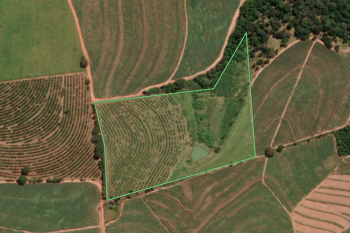 Imagem de satélite do imóvel rural em Novo Horizonte (SP), com o contorno declarado no CAR desenhado por cima.