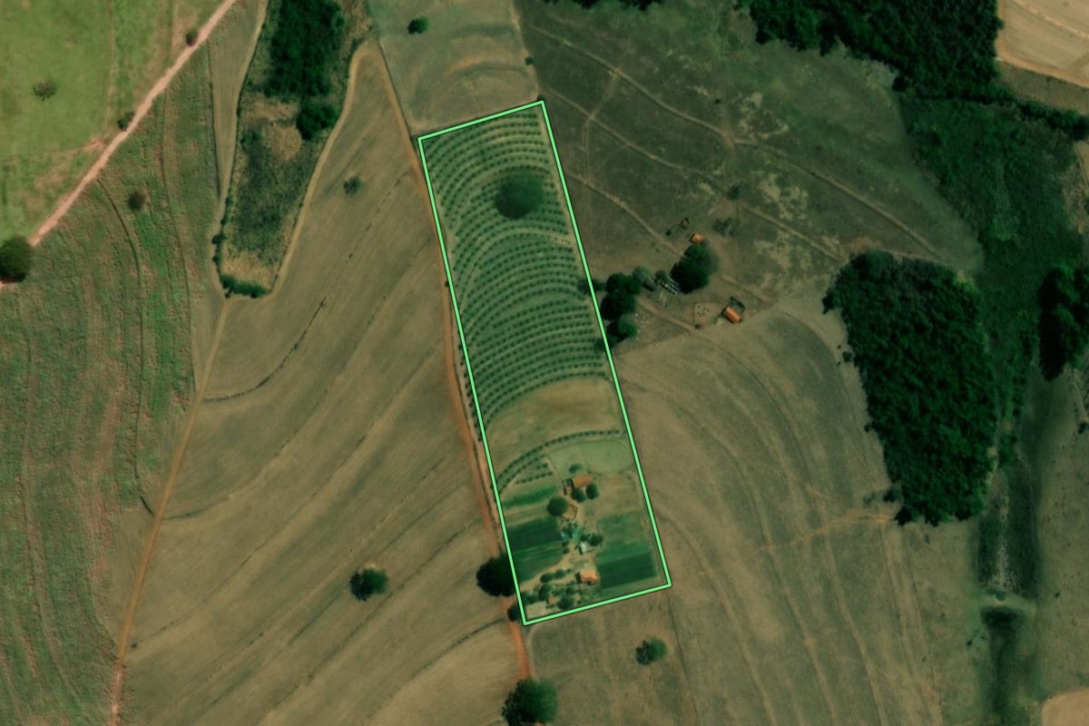 Imagem de satélite do imóvel rural em Novo Horizonte (SP), com o contorno declarado no CAR desenhado por cima.