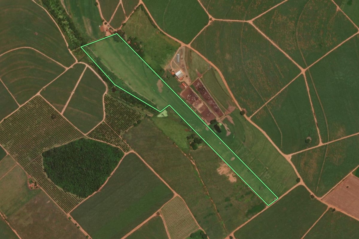 Imagem de satélite do imóvel rural em Novo Horizonte (SP), com o contorno declarado no CAR desenhado por cima.
