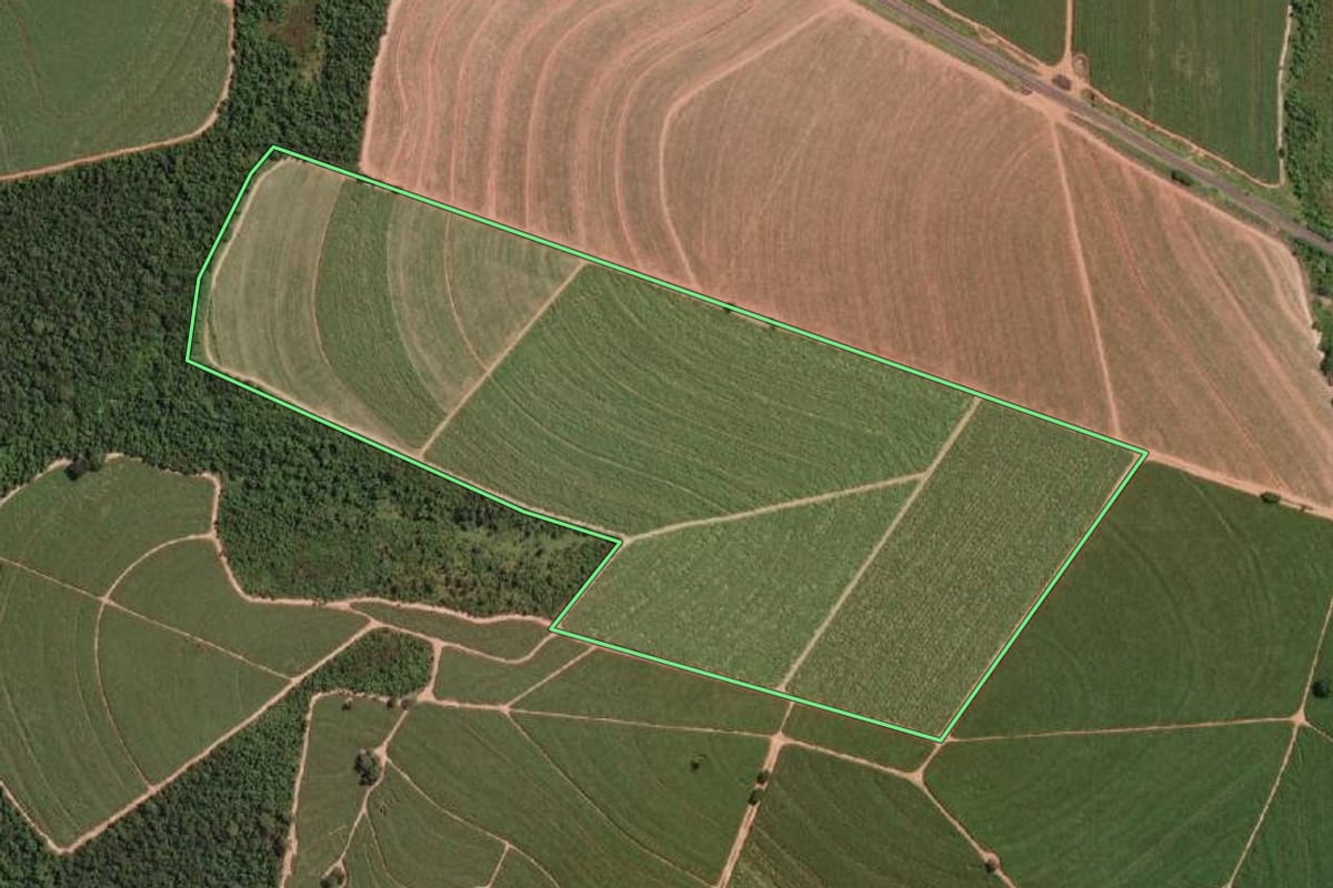 Imagem de satélite do imóvel rural em Novo Horizonte (SP), com o contorno declarado no CAR desenhado por cima.