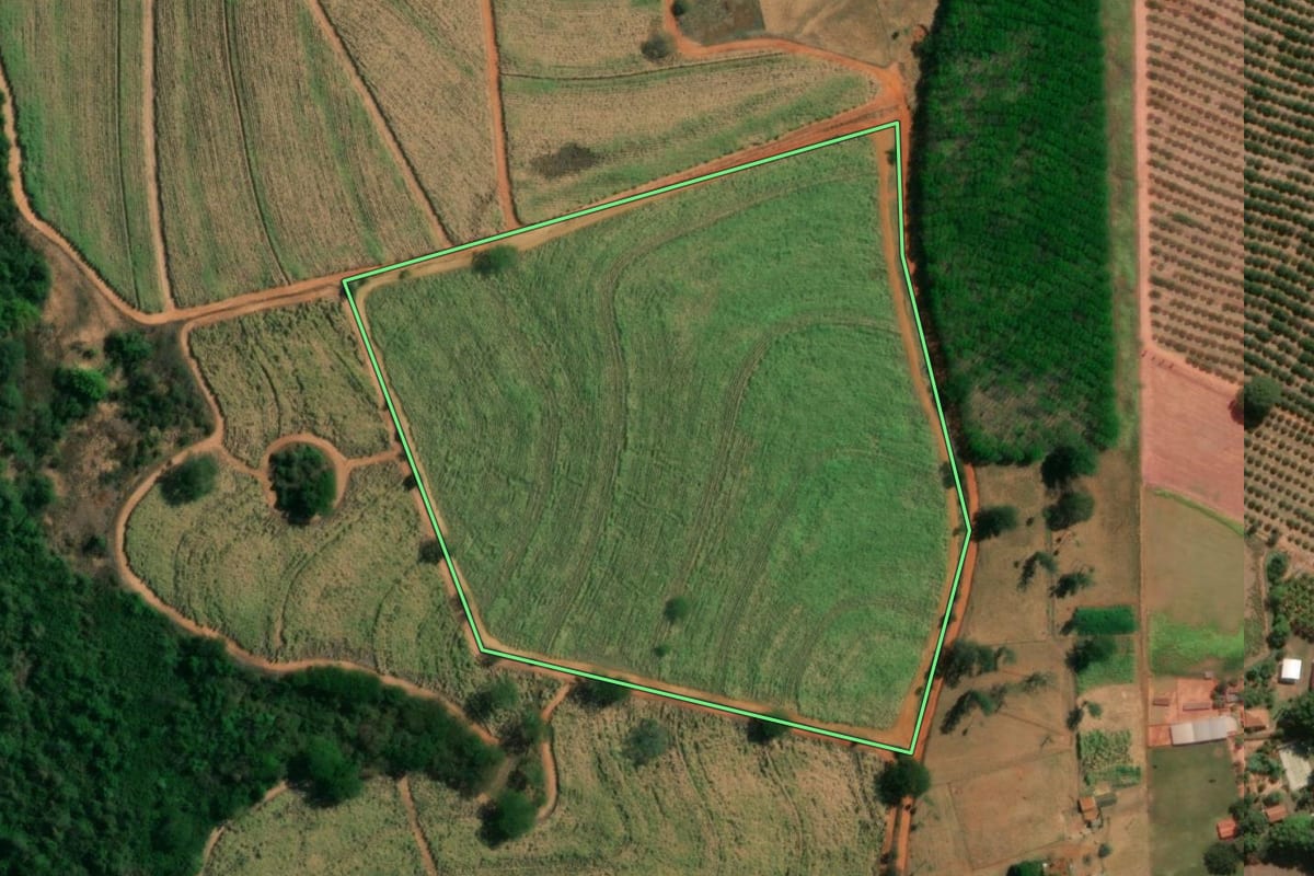Imagem de satélite do imóvel rural em Novo Horizonte (SP), com o contorno declarado no CAR desenhado por cima.