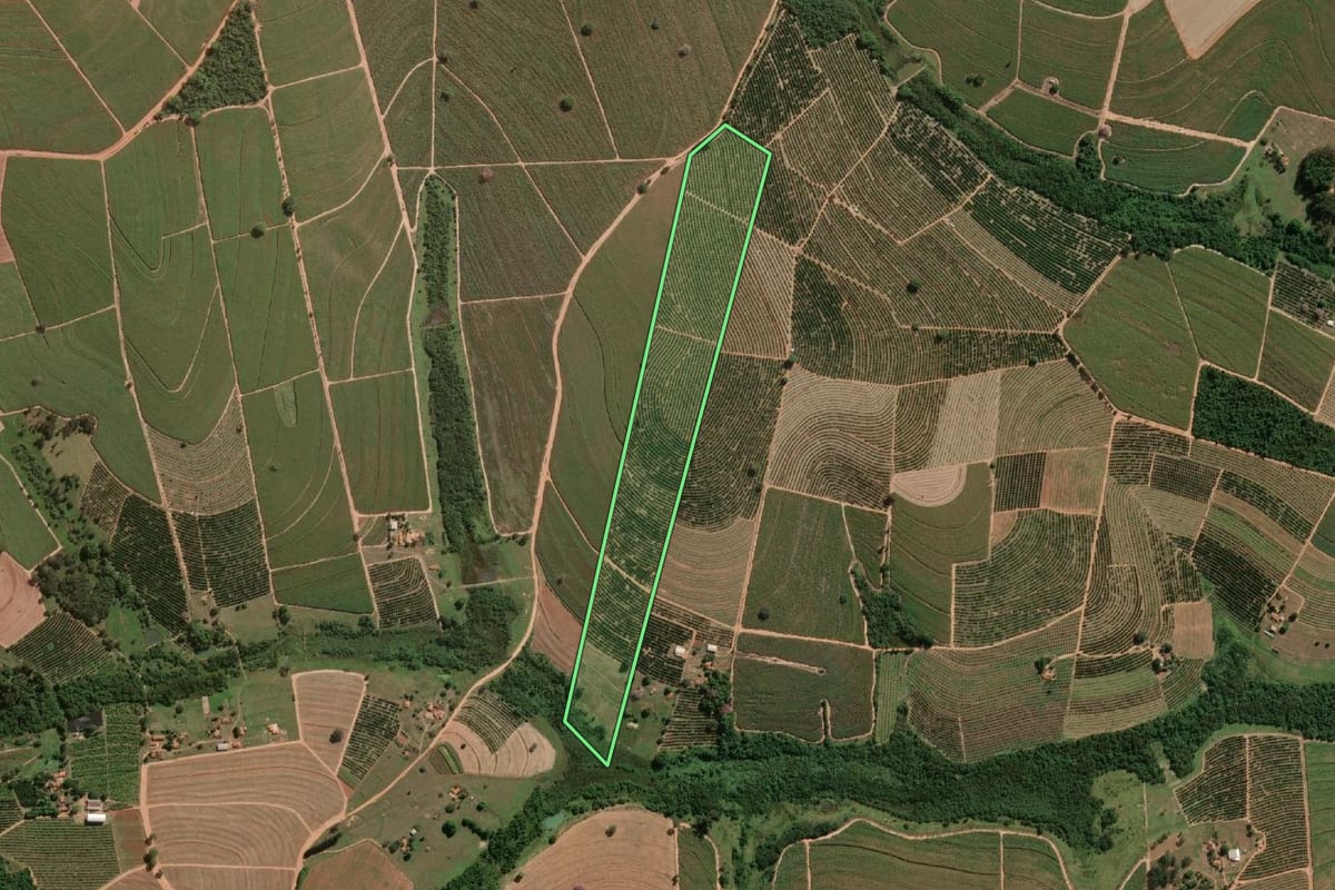 Imagem de satélite do imóvel rural em Novo Horizonte (SP), com o contorno declarado no CAR desenhado por cima.