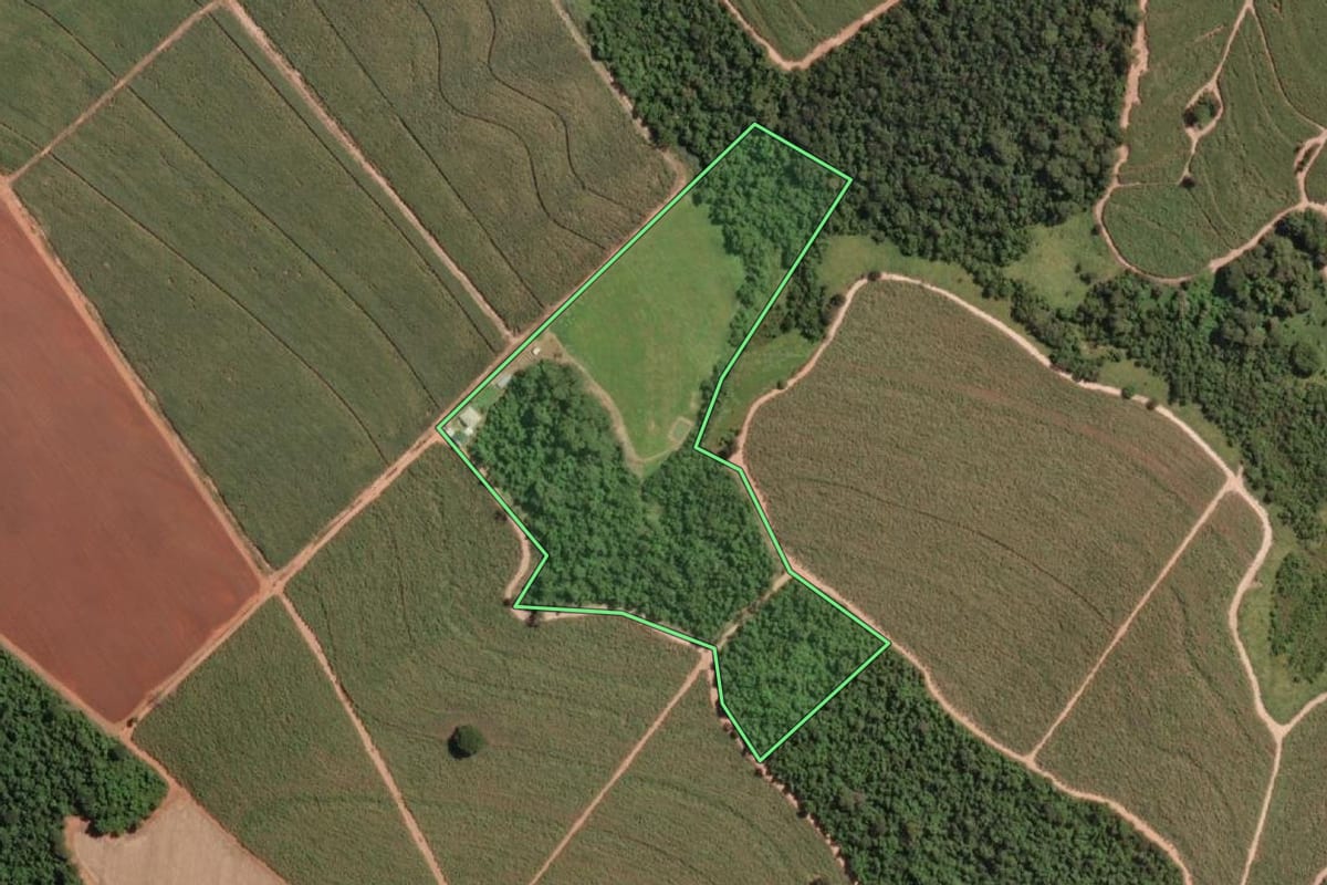 Imagem de satélite do imóvel rural em Novo Horizonte (SP), com o contorno declarado no CAR desenhado por cima.