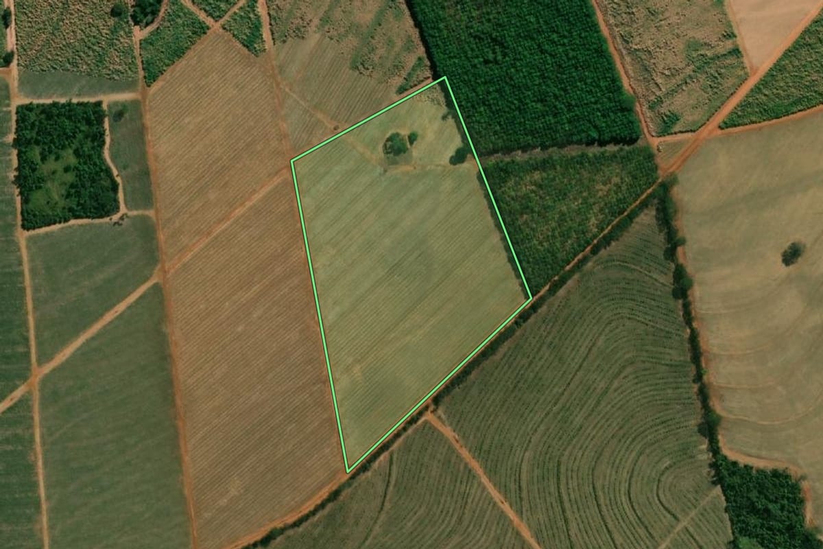 Imagem de satélite do imóvel rural em Novo Horizonte (SP), com o contorno declarado no CAR desenhado por cima.