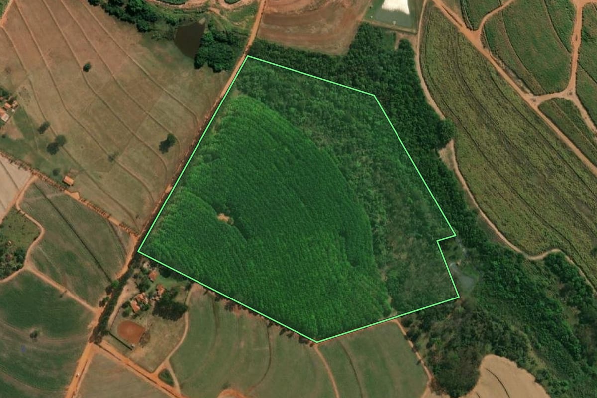 Imagem de satélite do imóvel rural em Novo Horizonte (SP), com o contorno declarado no CAR desenhado por cima.