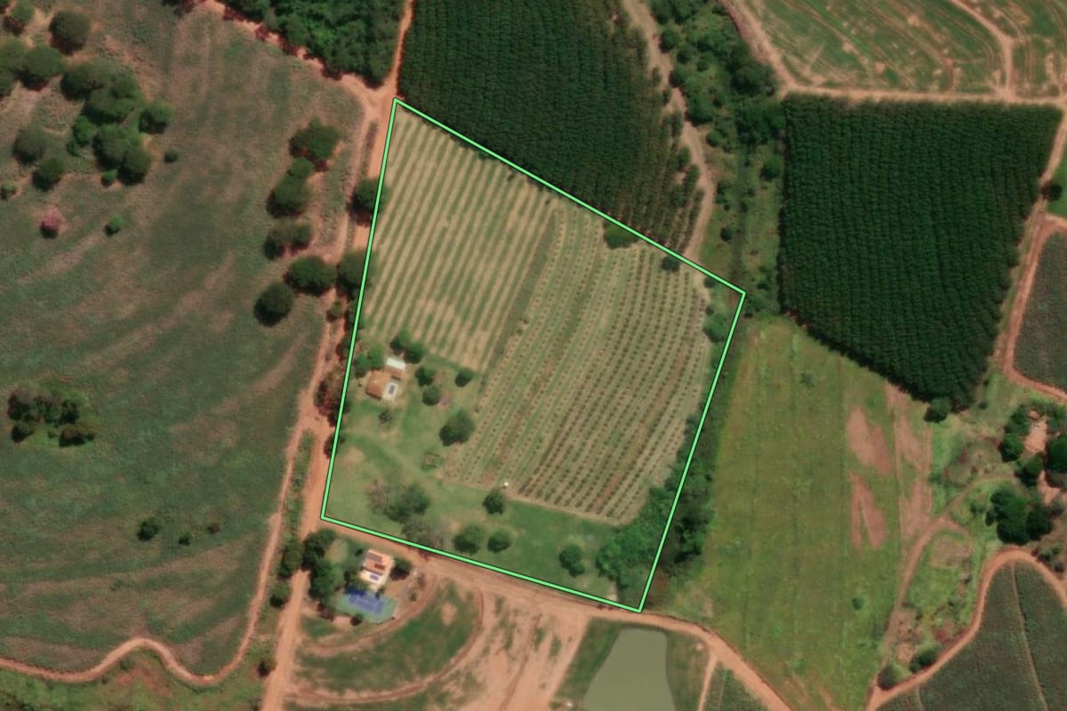 Imagem de satélite do imóvel rural em Novo Horizonte (SP), com o contorno declarado no CAR desenhado por cima.