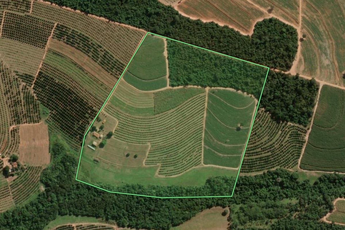Imagem de satélite do imóvel rural em Novo Horizonte (SP), com o contorno declarado no CAR desenhado por cima.