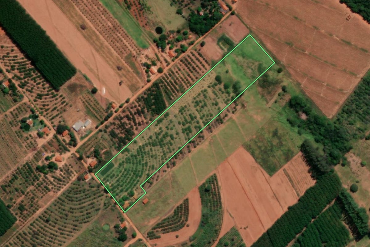 Imagem de satélite do imóvel rural em Novo Horizonte (SP), com o contorno declarado no CAR desenhado por cima.