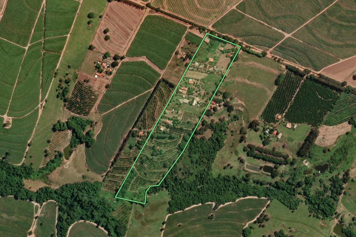 Imagem de satélite do imóvel rural em Novo Horizonte (SP), com o contorno declarado no CAR desenhado por cima.