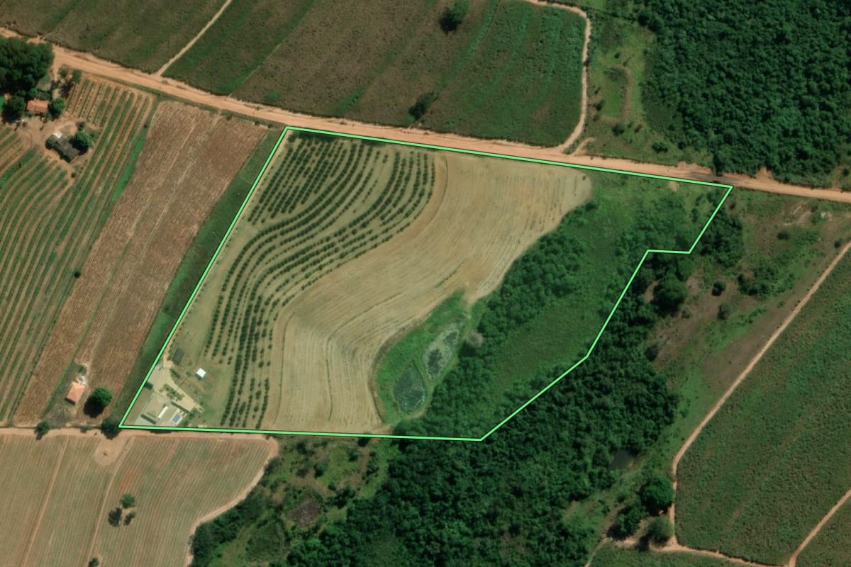 Imagem de satélite do imóvel rural em Novo Horizonte (SP), com o contorno declarado no CAR desenhado por cima.