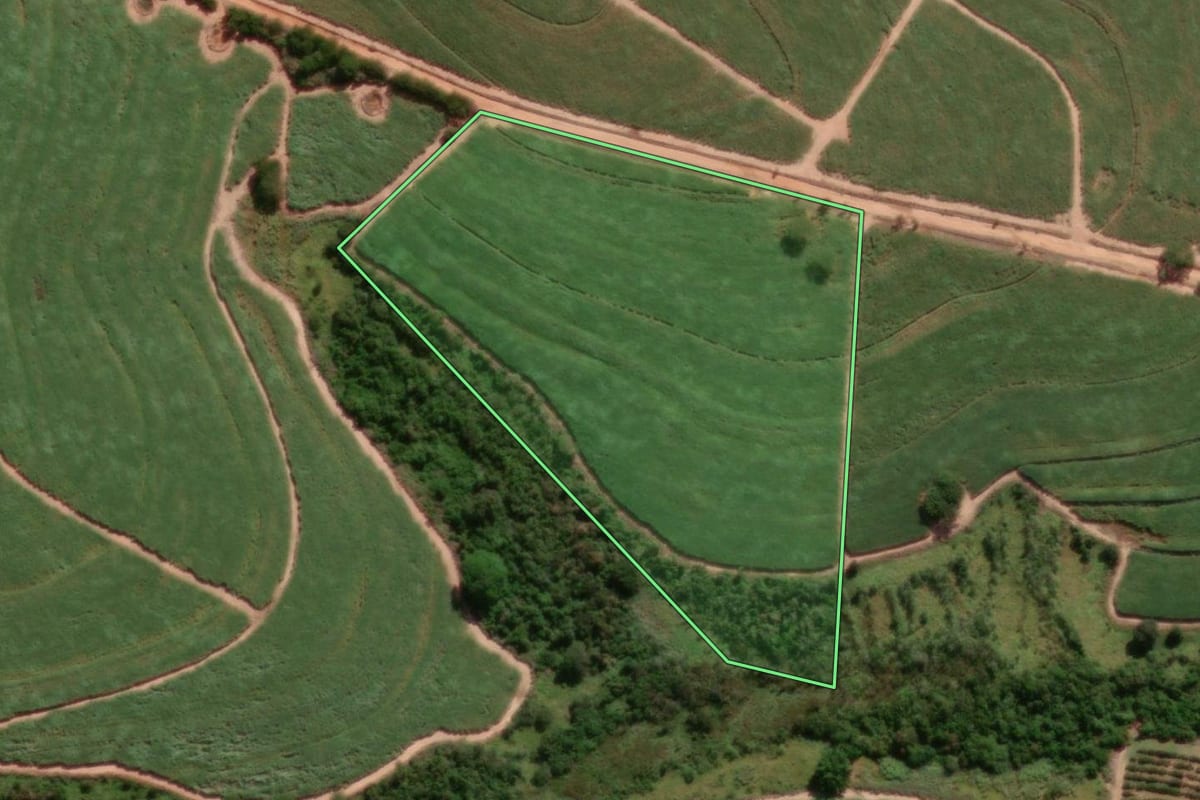 Imagem de satélite do imóvel rural em Novo Horizonte (SP), com o contorno declarado no CAR desenhado por cima.