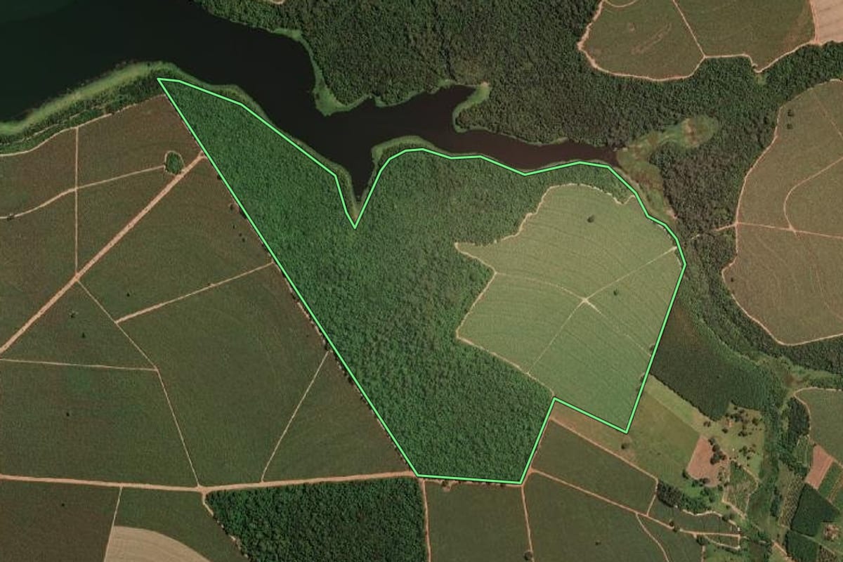 Imagem de satélite do imóvel rural em Novo Horizonte (SP), com o contorno declarado no CAR desenhado por cima.