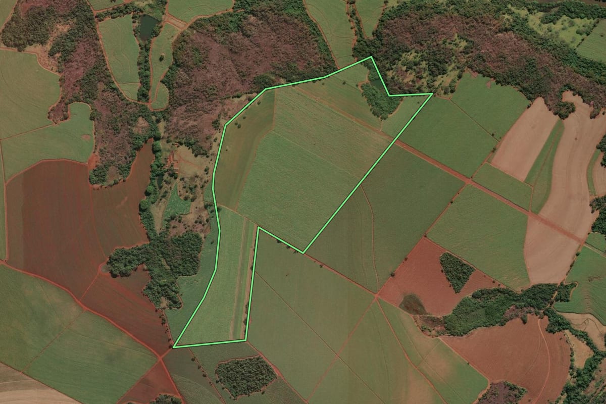 Imagem de satélite do imóvel rural em Nuporanga (SP), com o contorno declarado no CAR desenhado por cima.