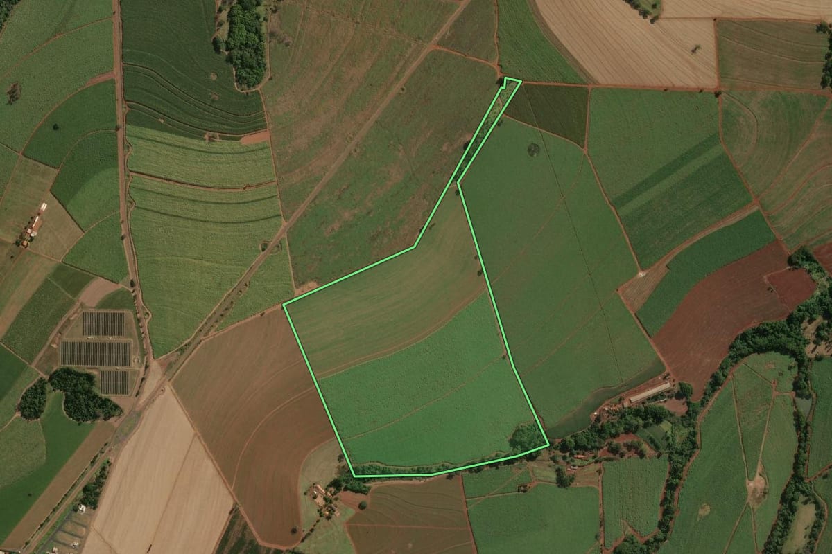 Imagem de satélite do imóvel rural em Nuporanga (SP), com o contorno declarado no CAR desenhado por cima.