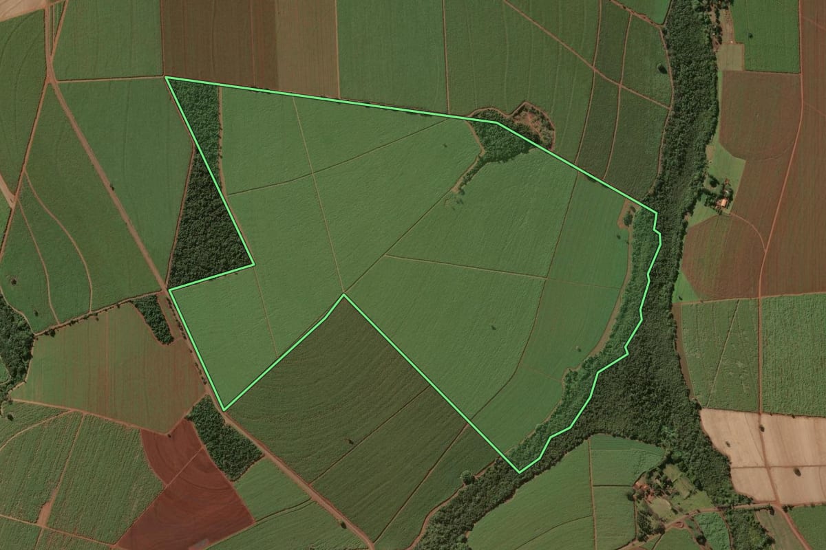 Imagem de satélite do imóvel rural em Nuporanga (SP), com o contorno declarado no CAR desenhado por cima.