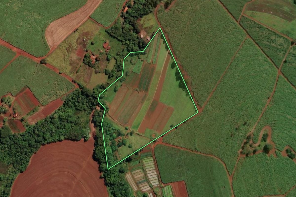 Imagem de satélite do imóvel rural em Nuporanga (SP), com o contorno declarado no CAR desenhado por cima.