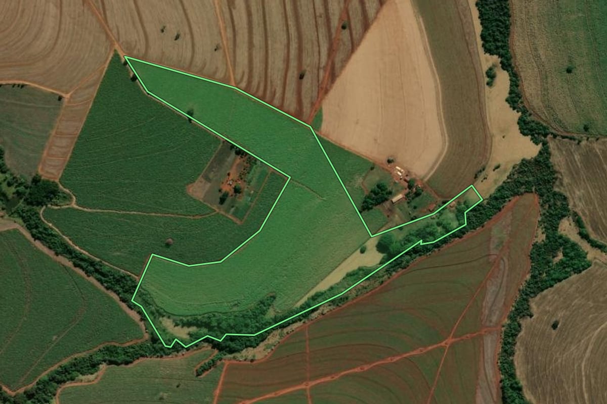 Imagem de satélite do imóvel rural em Nuporanga (SP), com o contorno declarado no CAR desenhado por cima.
