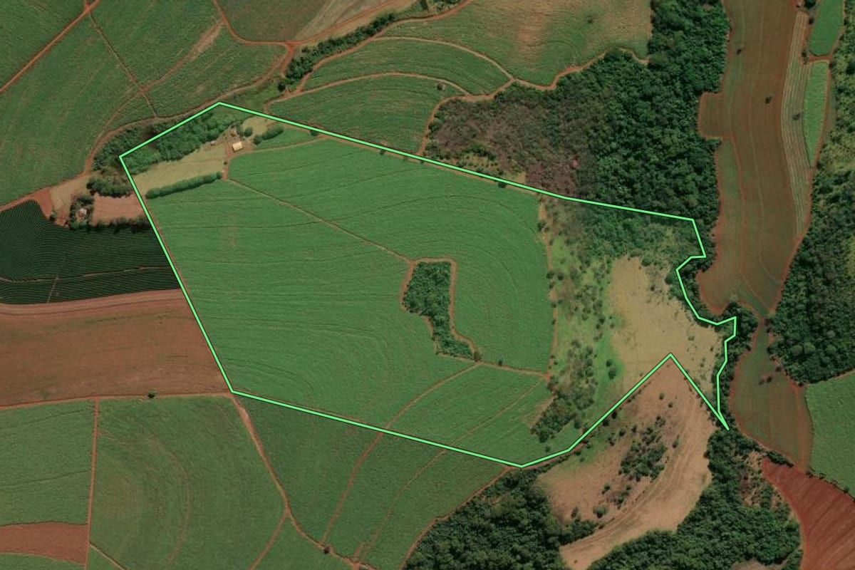 Imagem de satélite do imóvel rural em Nuporanga (SP), com o contorno declarado no CAR desenhado por cima.