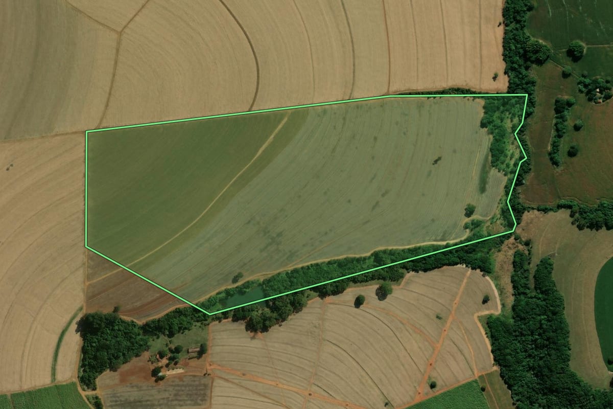 Imagem de satélite do imóvel rural em Nuporanga (SP), com o contorno declarado no CAR desenhado por cima.