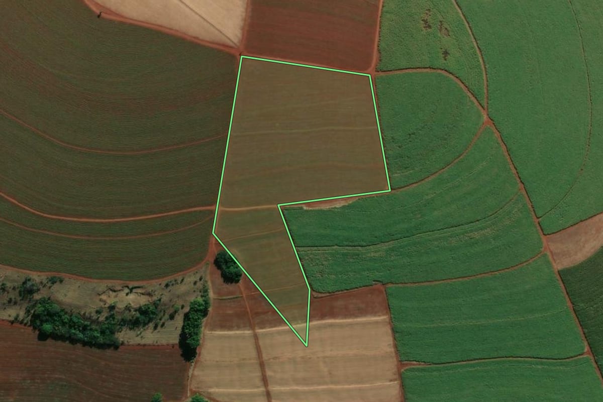Imagem de satélite do imóvel rural em Nuporanga (SP), com o contorno declarado no CAR desenhado por cima.