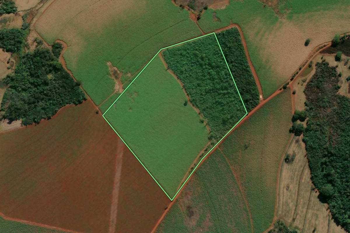 Imagem de satélite do imóvel rural em Nuporanga (SP), com o contorno declarado no CAR desenhado por cima.