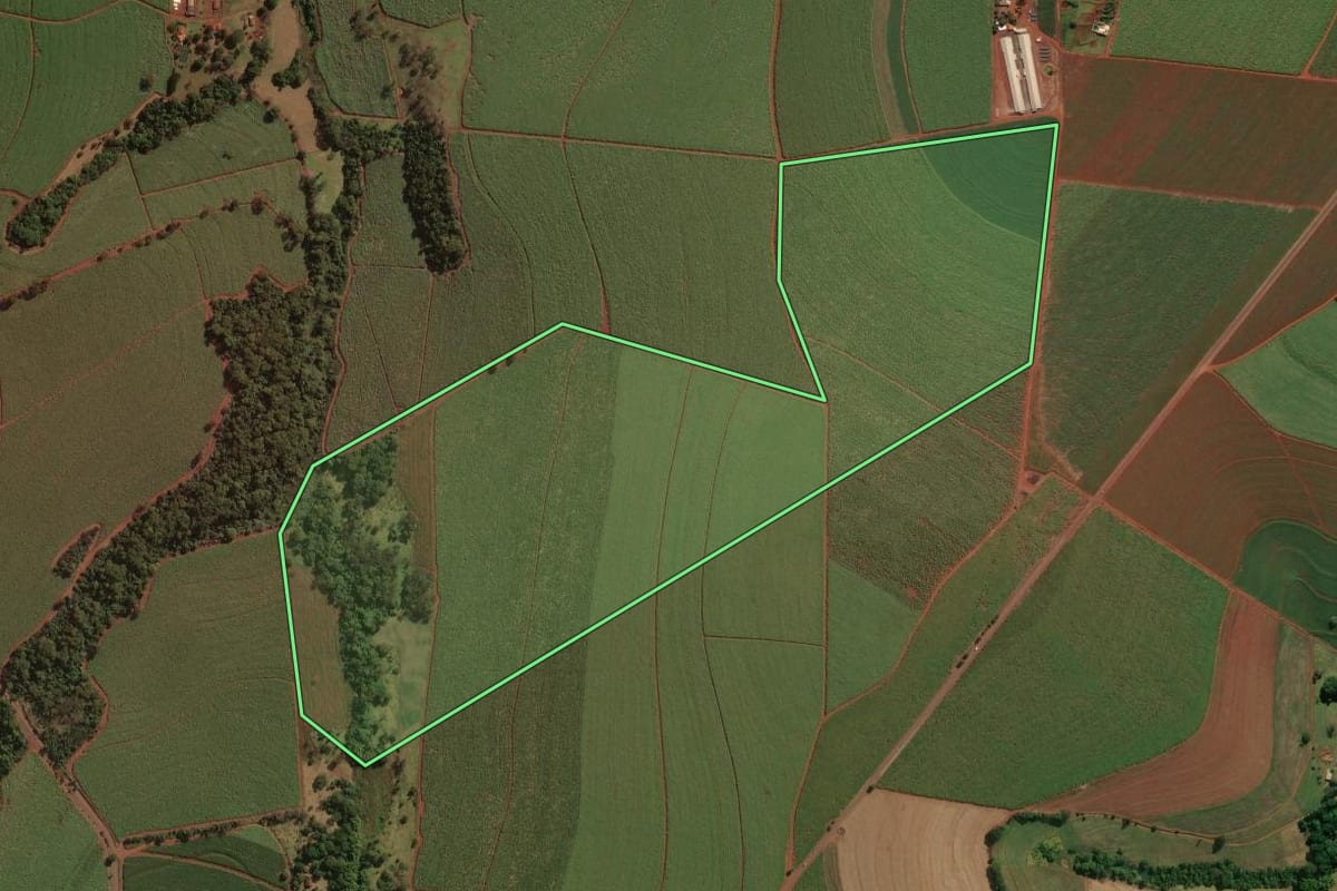 Imagem de satélite do imóvel rural em Nuporanga (SP), com o contorno declarado no CAR desenhado por cima.