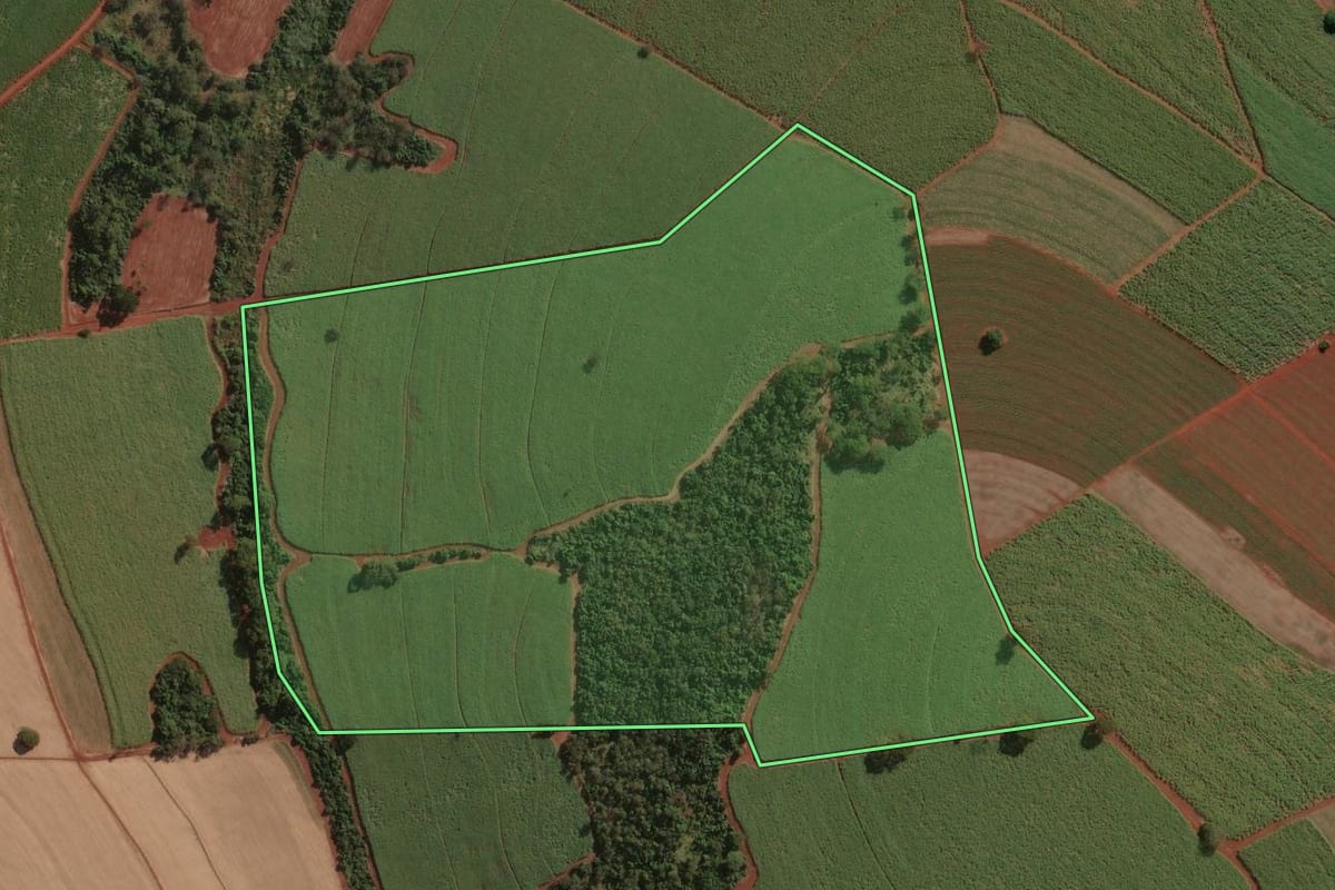 Imagem de satélite do imóvel rural em Nuporanga (SP), com o contorno declarado no CAR desenhado por cima.