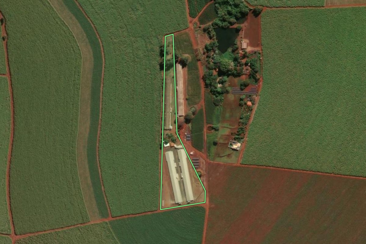 Imagem de satélite do imóvel rural em Nuporanga (SP), com o contorno declarado no CAR desenhado por cima.