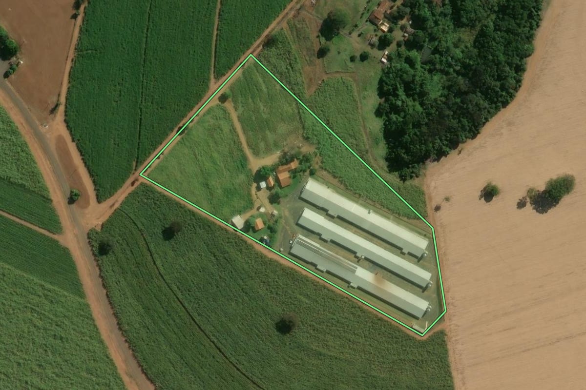 Imagem de satélite do imóvel rural em Nuporanga (SP), com o contorno declarado no CAR desenhado por cima.