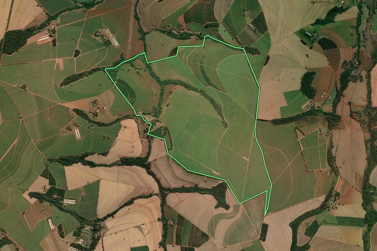 Imagem de satélite do imóvel rural em Nuporanga (SP), com o contorno declarado no CAR desenhado por cima.