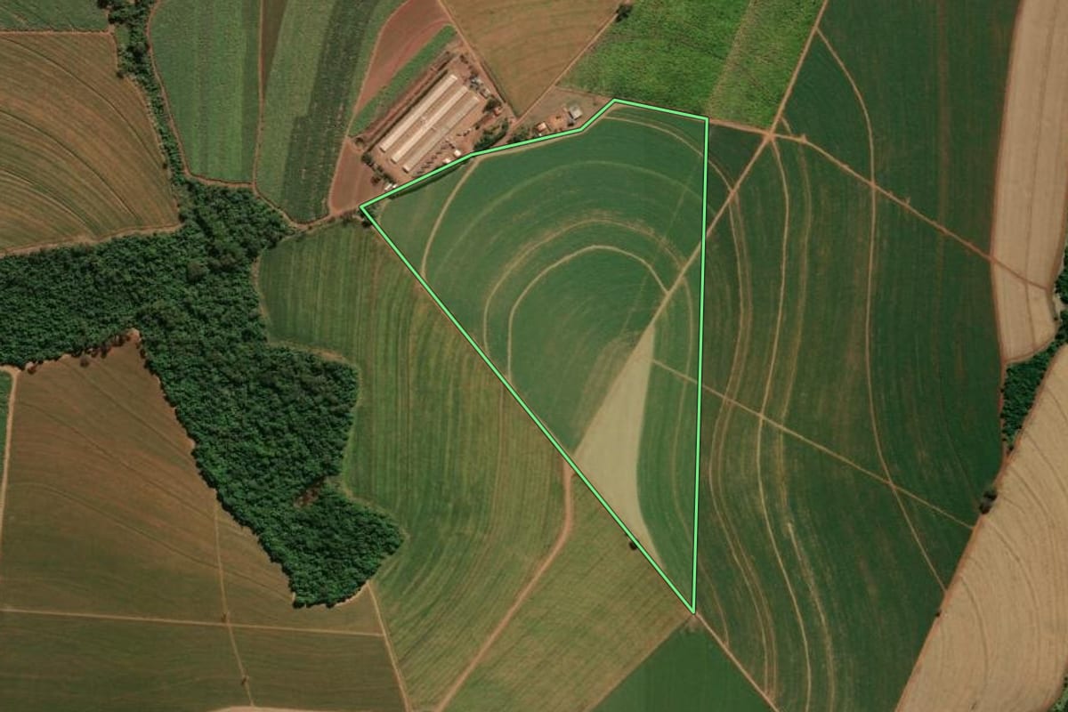 Imagem de satélite do imóvel rural em Nuporanga (SP), com o contorno declarado no CAR desenhado por cima.