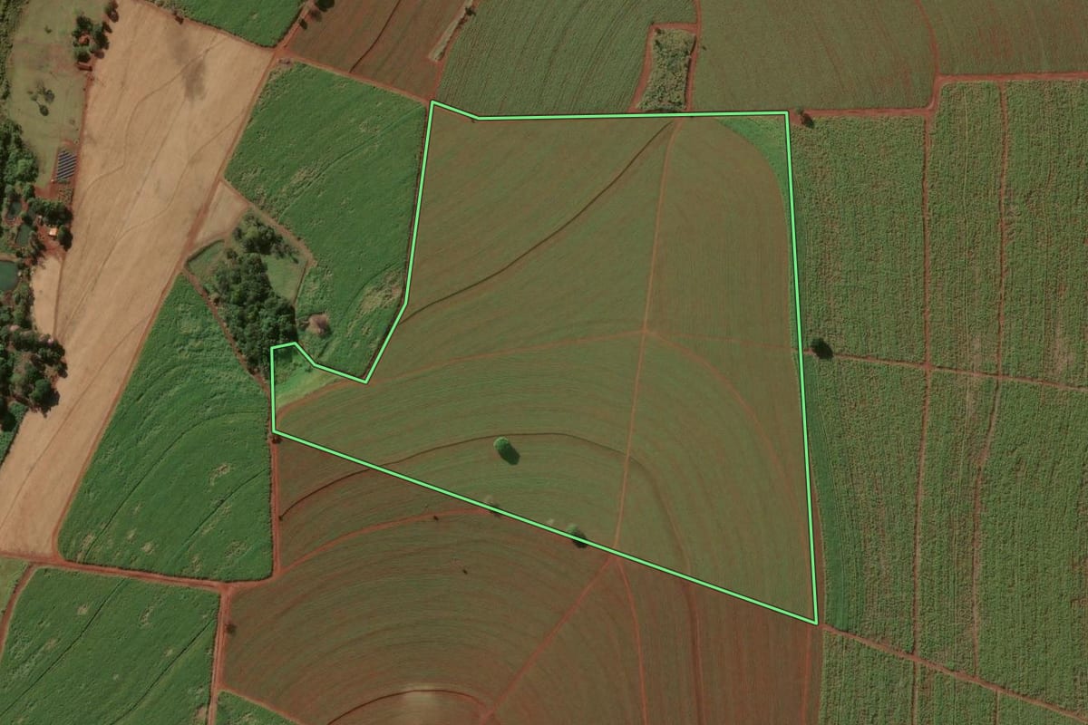 Imagem de satélite do imóvel rural em Nuporanga (SP), com o contorno declarado no CAR desenhado por cima.