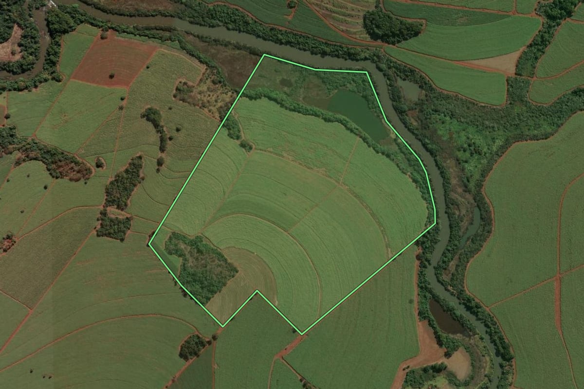Imagem de satélite do imóvel rural em Nuporanga (SP), com o contorno declarado no CAR desenhado por cima.