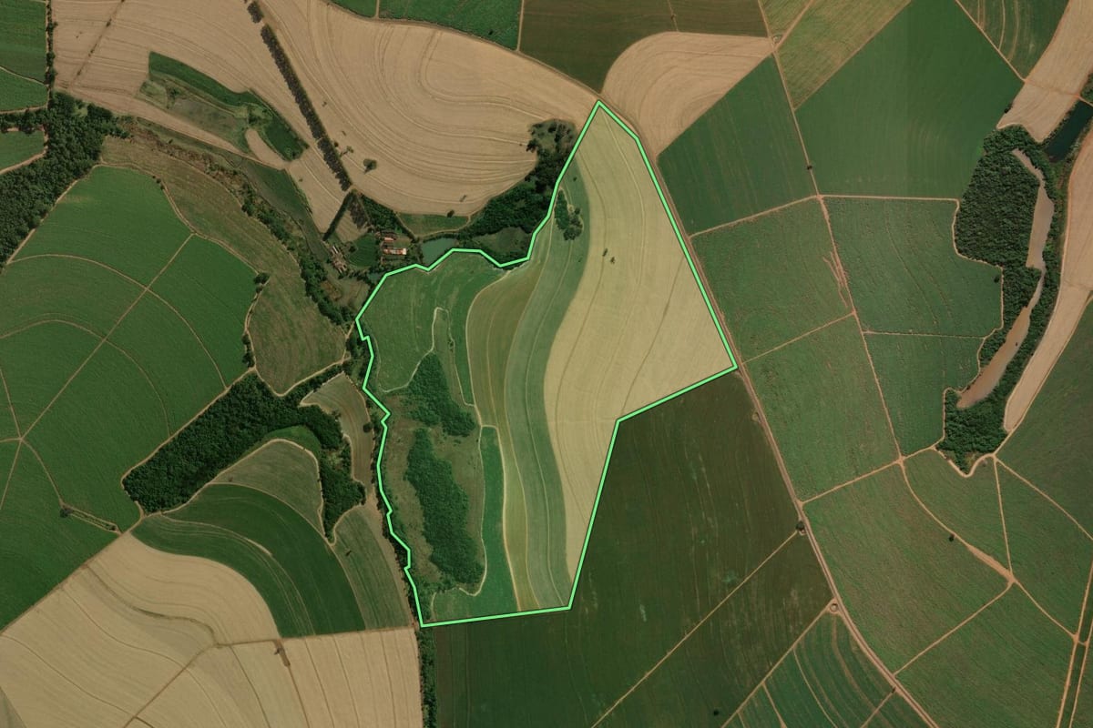 Imagem de satélite do imóvel rural em Nuporanga (SP), com o contorno declarado no CAR desenhado por cima.