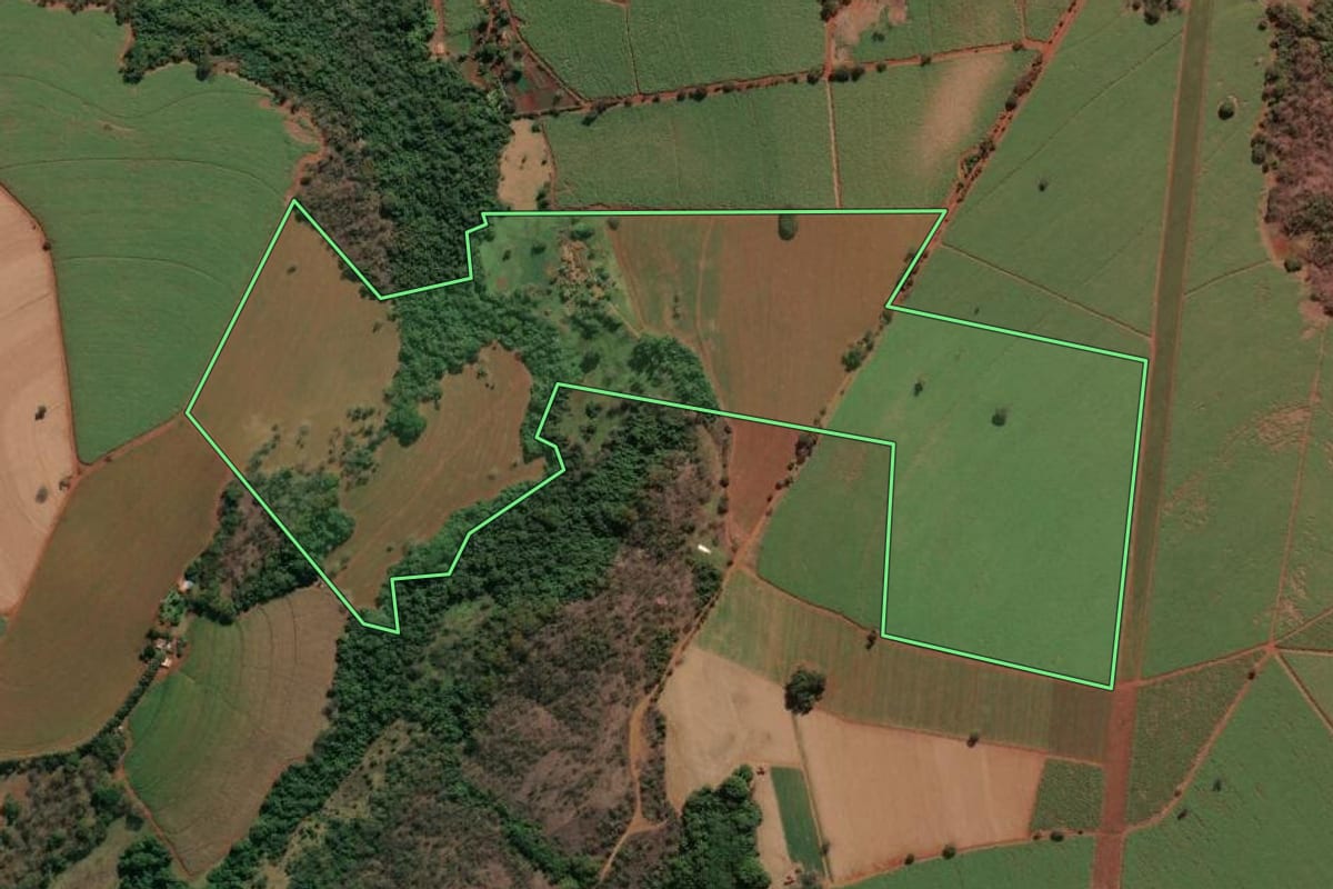 Imagem de satélite do imóvel rural em Nuporanga (SP), com o contorno declarado no CAR desenhado por cima.