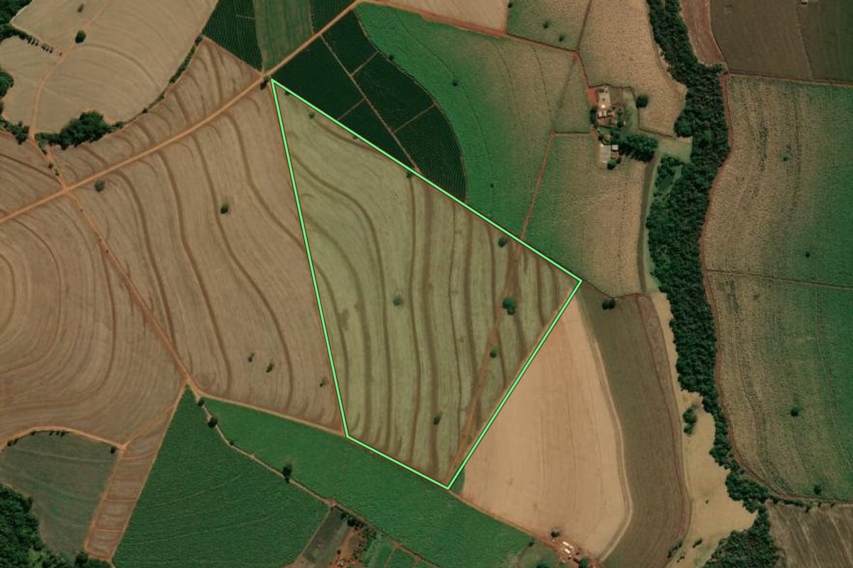 Imagem de satélite do imóvel rural em Nuporanga (SP), com o contorno declarado no CAR desenhado por cima.
