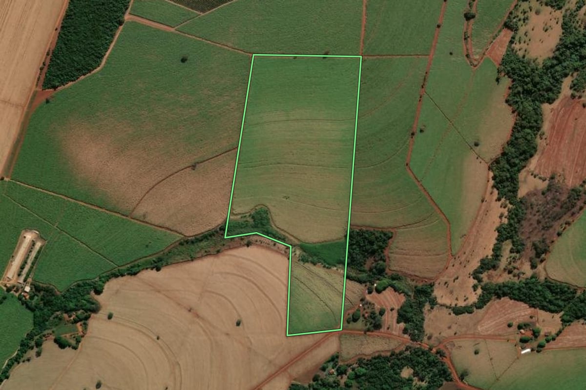 Imagem de satélite do imóvel rural em Nuporanga (SP), com o contorno declarado no CAR desenhado por cima.
