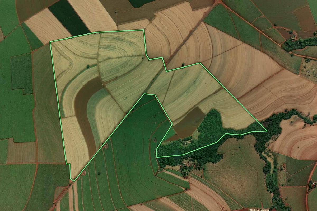 Imagem de satélite do imóvel rural em Nuporanga (SP), com o contorno declarado no CAR desenhado por cima.