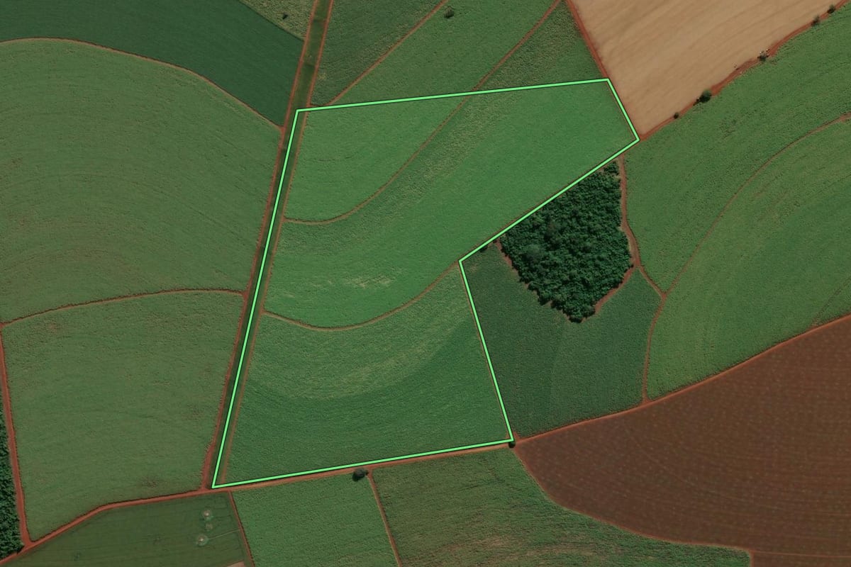 Imagem de satélite do imóvel rural em Nuporanga (SP), com o contorno declarado no CAR desenhado por cima.
