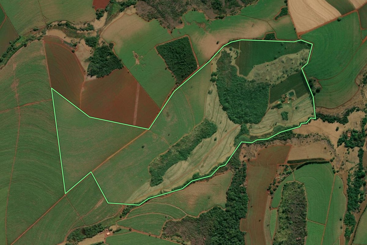 Imagem de satélite do imóvel rural em Nuporanga (SP), com o contorno declarado no CAR desenhado por cima.