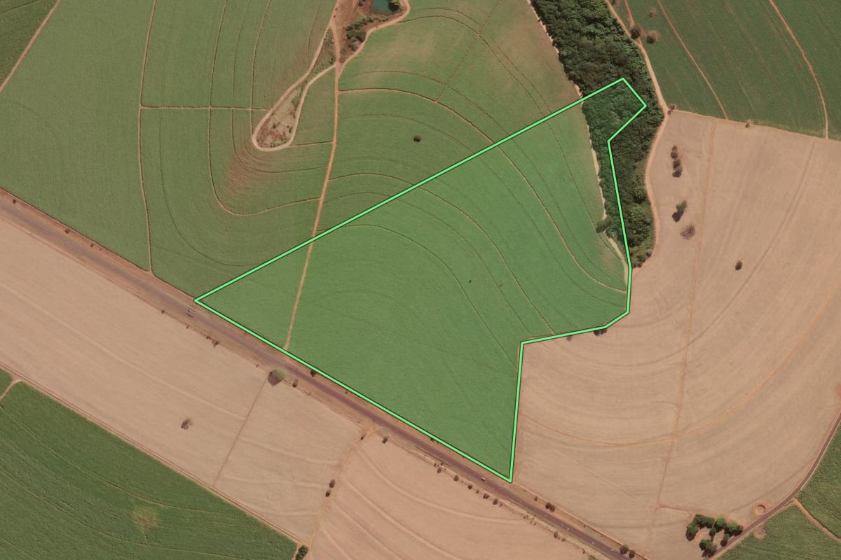 Imagem de satélite do imóvel rural em Nuporanga (SP), com o contorno declarado no CAR desenhado por cima.