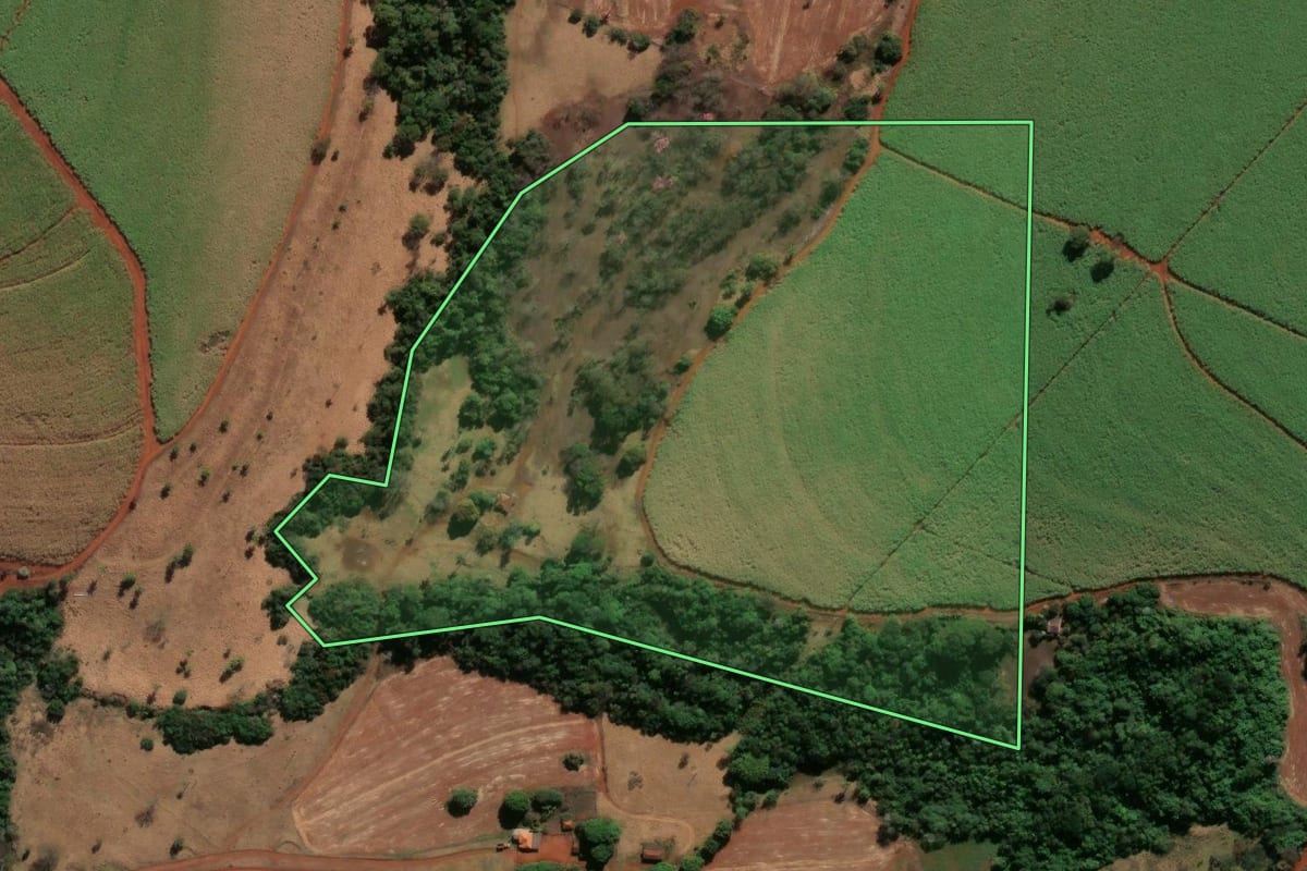 Imagem de satélite do imóvel rural em Nuporanga (SP), com o contorno declarado no CAR desenhado por cima.