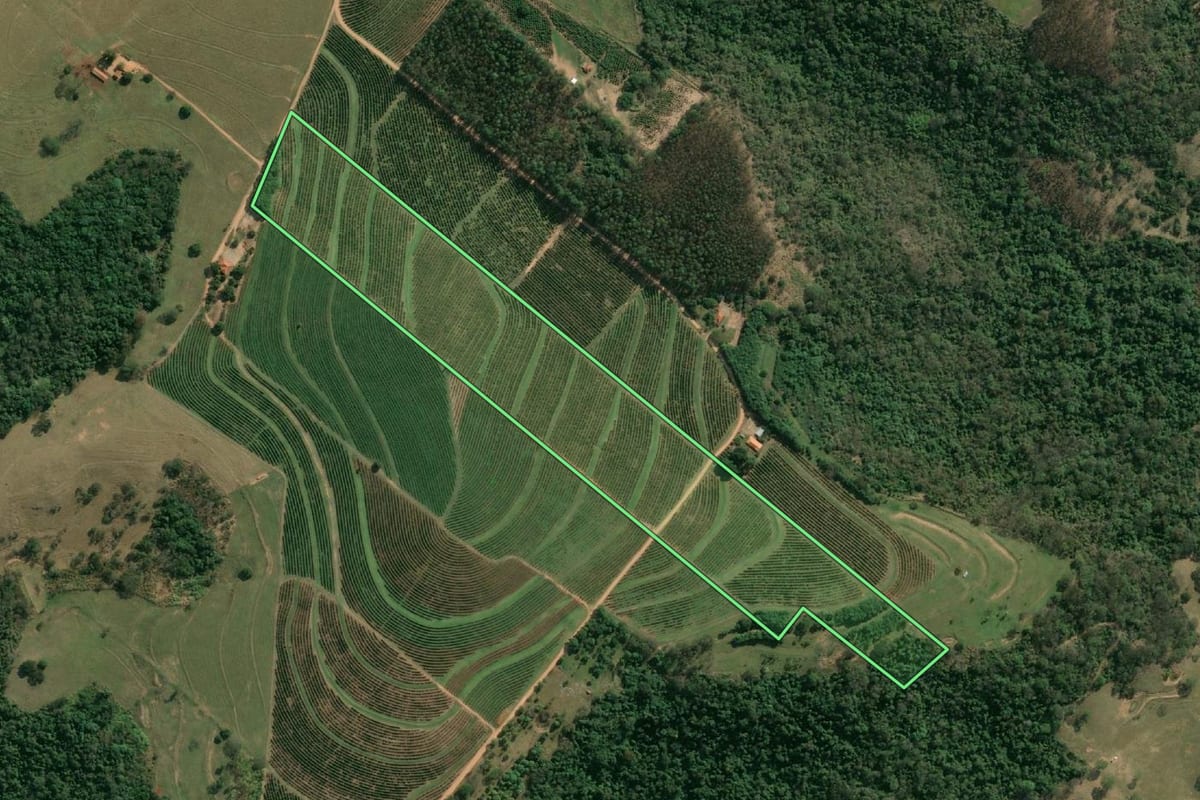 Imagem de satélite do imóvel rural em Ocauçu (SP), com o contorno declarado no CAR desenhado por cima.