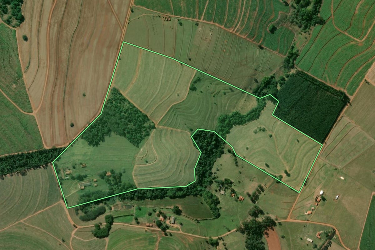 Imagem de satélite do imóvel rural em Óleo (SP), com o contorno declarado no CAR desenhado por cima.
