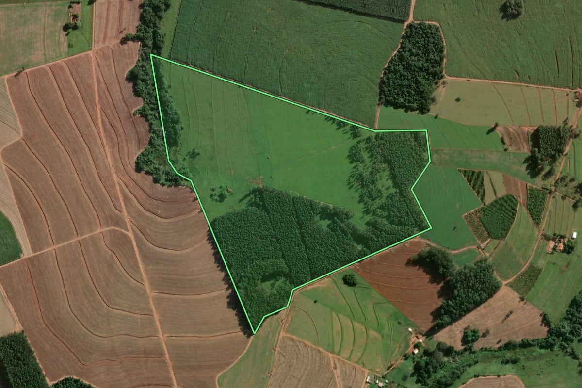 Imagem de satélite do imóvel rural em Óleo (SP), com o contorno declarado no CAR desenhado por cima.