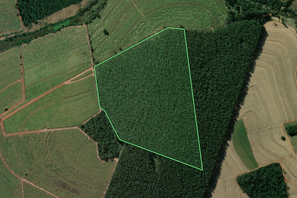 Imagem de satélite do imóvel rural em Óleo (SP), com o contorno declarado no CAR desenhado por cima.